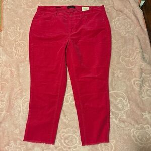 Women's pinck Jeans